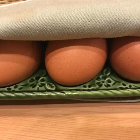 Gasthof Schweizerhaus Hotel